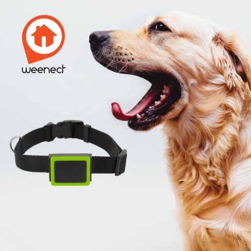 GPS obojok pre psa Weenect Pets